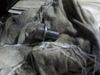 DSCN8320