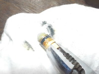 DSCN8009