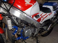 DSCN5358