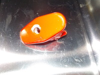 DSCN5630