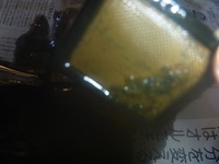 P1050829