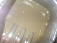 DSCN5599