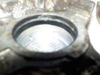 DSCN4780