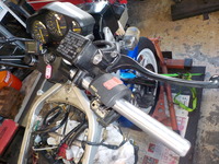 DSCN6577