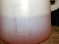 DSCN3976