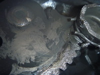 P1060983