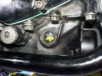 DSCN0203