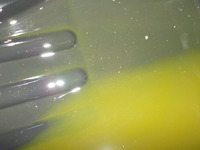 DSCN4857