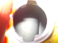 DSCN1208