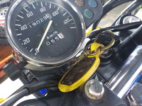 DSCN5294