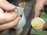 DSCN1482