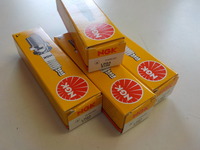 DSCN5500