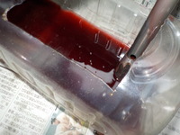 DSCN3632