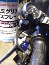 zrx2ws20111113 (30)