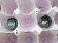 DSCN4879