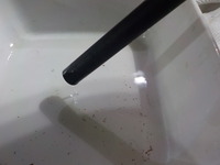DSCN7886
