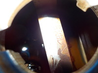DSCN6706