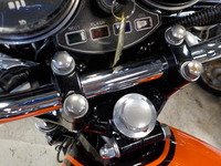 DSCN6987