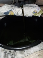 DSCN7231