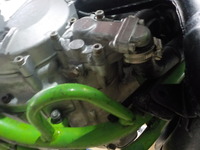 DSCN4515