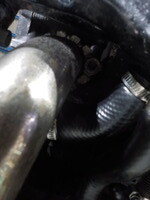DSCN2868