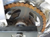 DSCN6606
