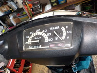 DSCN6967
