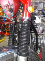 DSCN0316