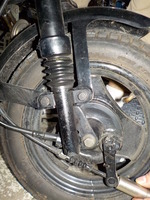 DSCN7957