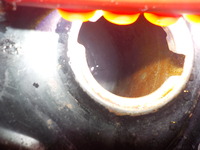 DSCN7735