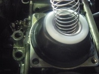 P1010301
