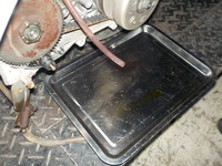 DSCN5807