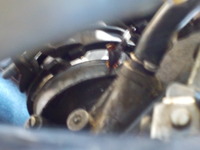DSCN8028