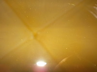 DSCN5242