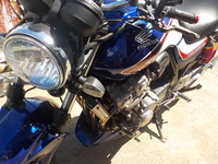 DSCN3941