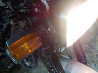 DSCN8351