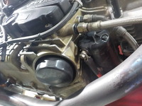 DSCN8196