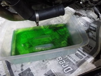 DSCN0131