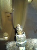 SN3U1129