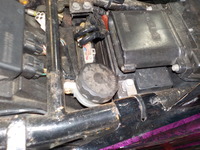 DSCN5475