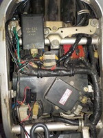 DSCN5825