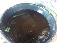 DSCN7838