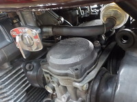 DSCN6385