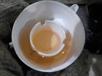 DSCN8528