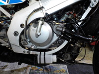 DSCN6010