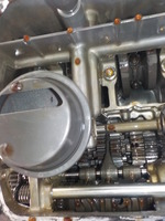 DSCN3667