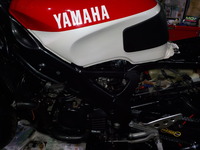 DSCN5720