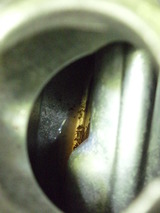 or50ws20120214 (8)