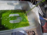 DSCN2405