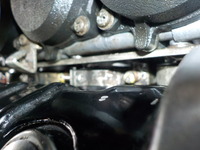 DSCN8945